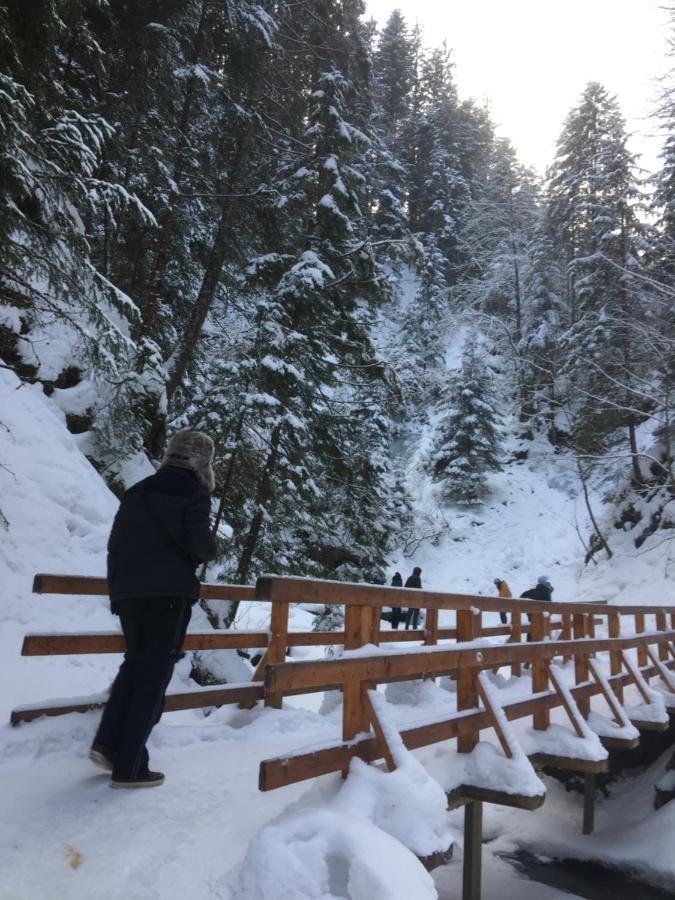 Рукавичка Yaremche Dış mekan fotoğraf